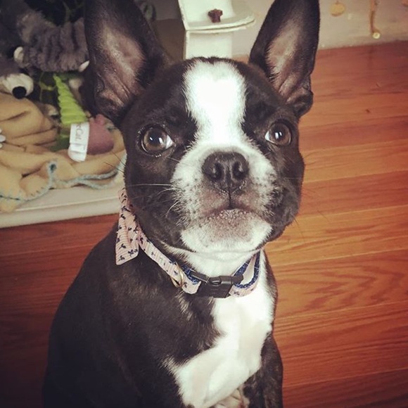 Offers welcome :) - Picture 1 of 1